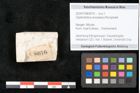 Foto (Objekt + Etikett) von Glyptostrobus europaeus Brongniarti (NHMW-GEO-2024-0188-8076)